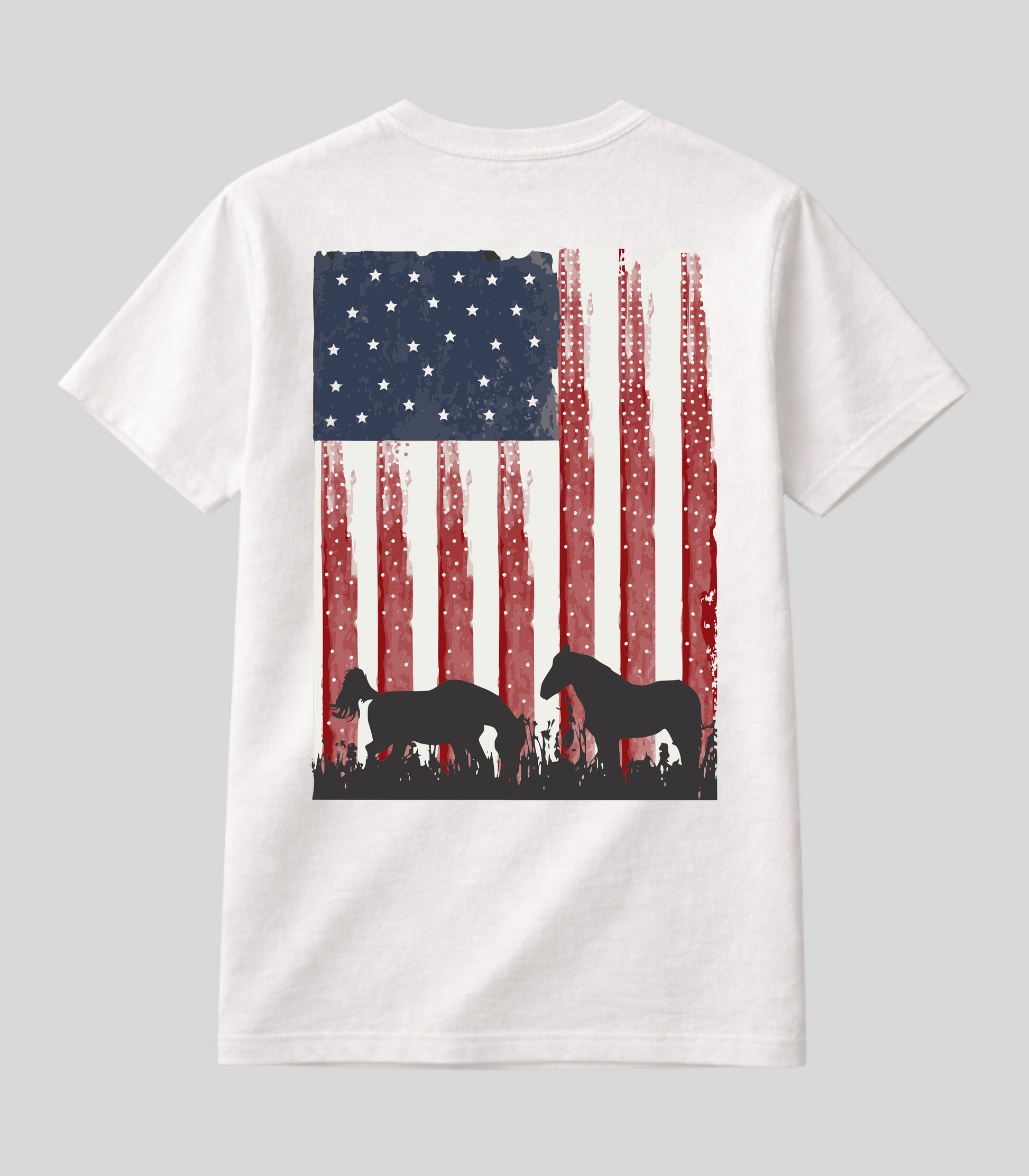 Camiseta Bandeira Americana Fio de Arame Texas