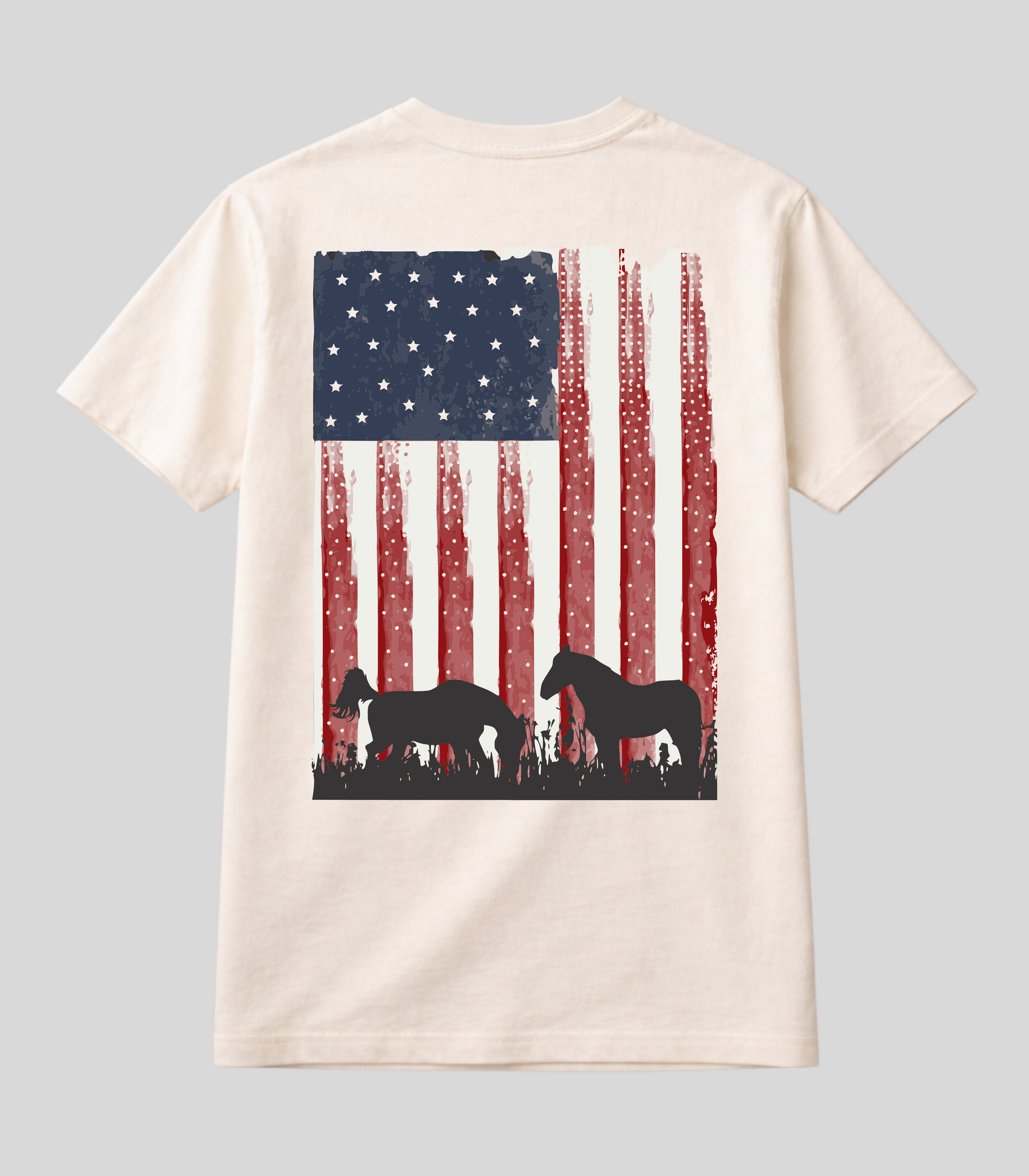 Camiseta Bandeira Americana Fio de Arame Texas